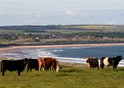 Cruden Bay  Cruden Bay from the south, near Whinnyfold